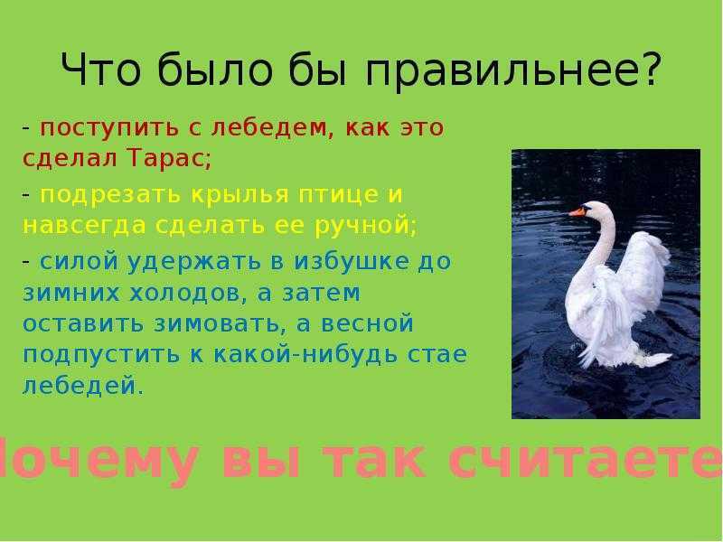 Мамин-сибиряк д.н. “приемыш” читательский дневник, краткое содержание