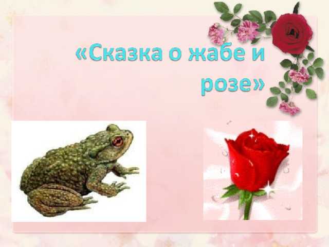 Гаршин «сказка о жабе и розе» — кратко содержание для читательского дневника ✍ библиотека школьника > электронный ресурс