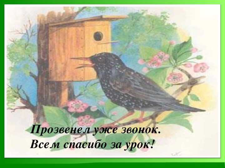 Краткое содержание куприн скворцы для читательского дневника