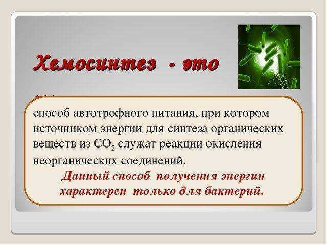 Краткое 9. Хемосинтез. Хемосинтез это в биологии. Хемосинтез характерен для. Хемосинтез это в биологии кратко.