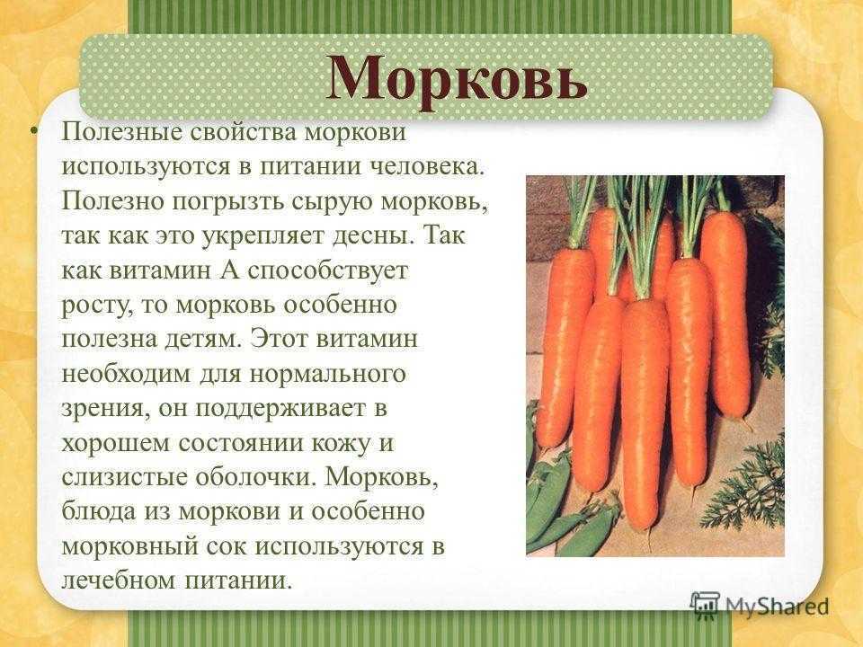 Проект про морковь