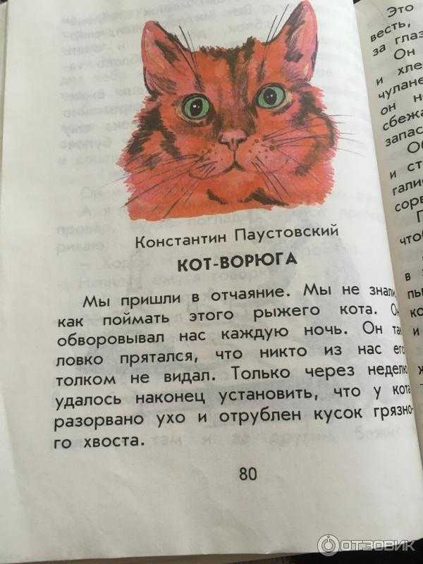 Котик сказка читать