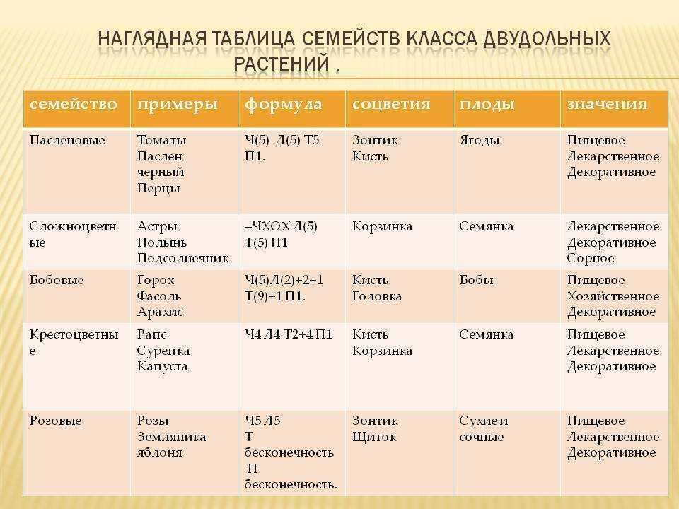 Презентация по биологии 6 класс семейства класса однодольные и двудольные