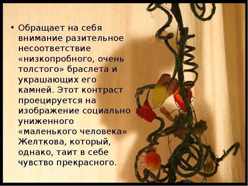 Вера николаевна шеина  из повести «гранатовый браслет»