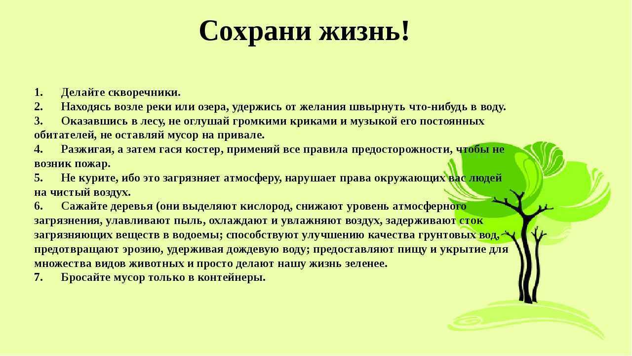 Международная организация гринпис презентация, доклад, проект на тему