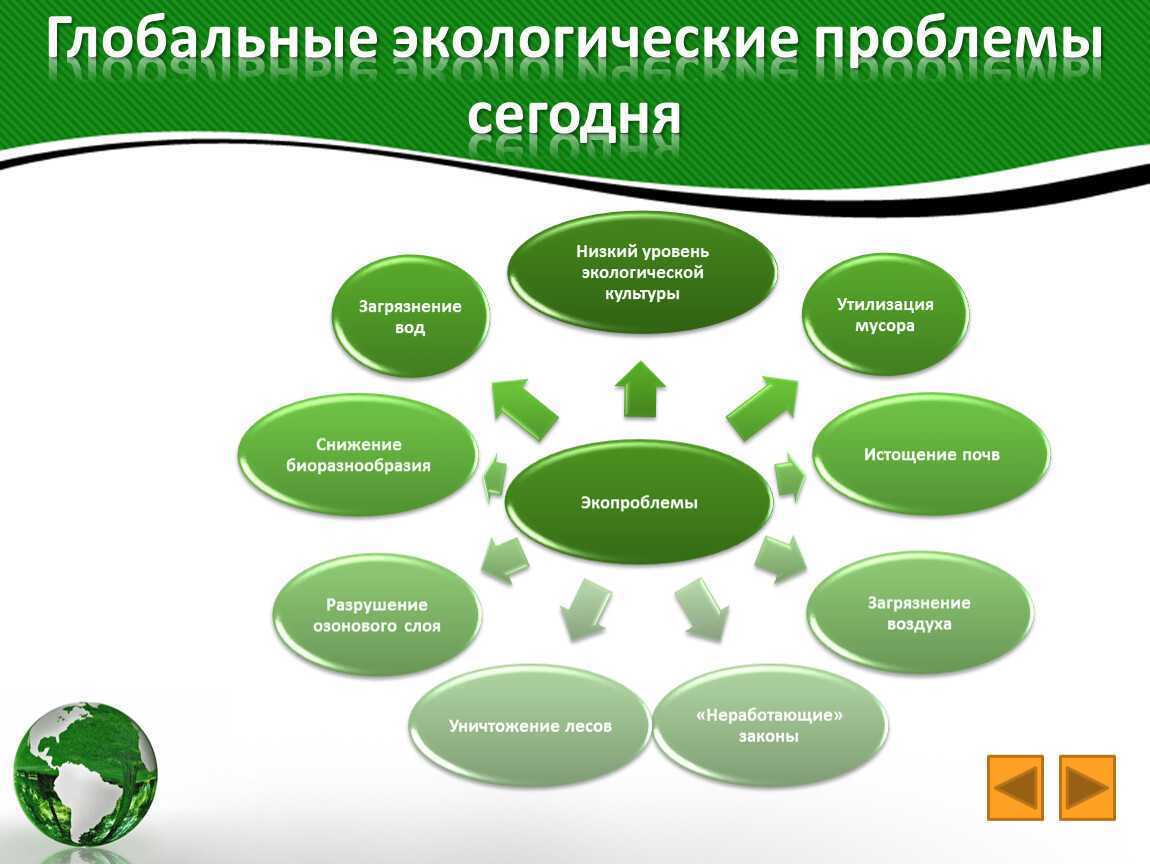 Понятие социального проекта реферат