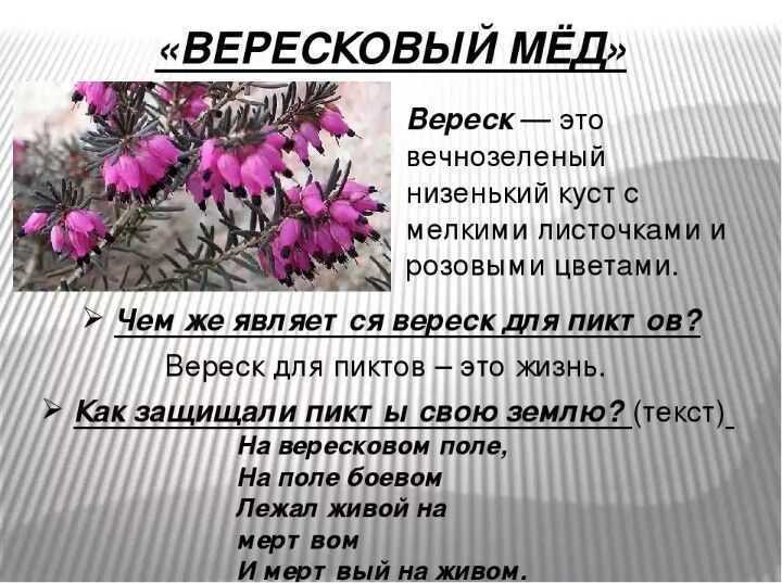 План по стихотворению вересковый мед