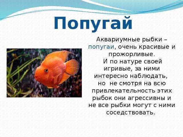 Сказка про рыбку - озеро сказок