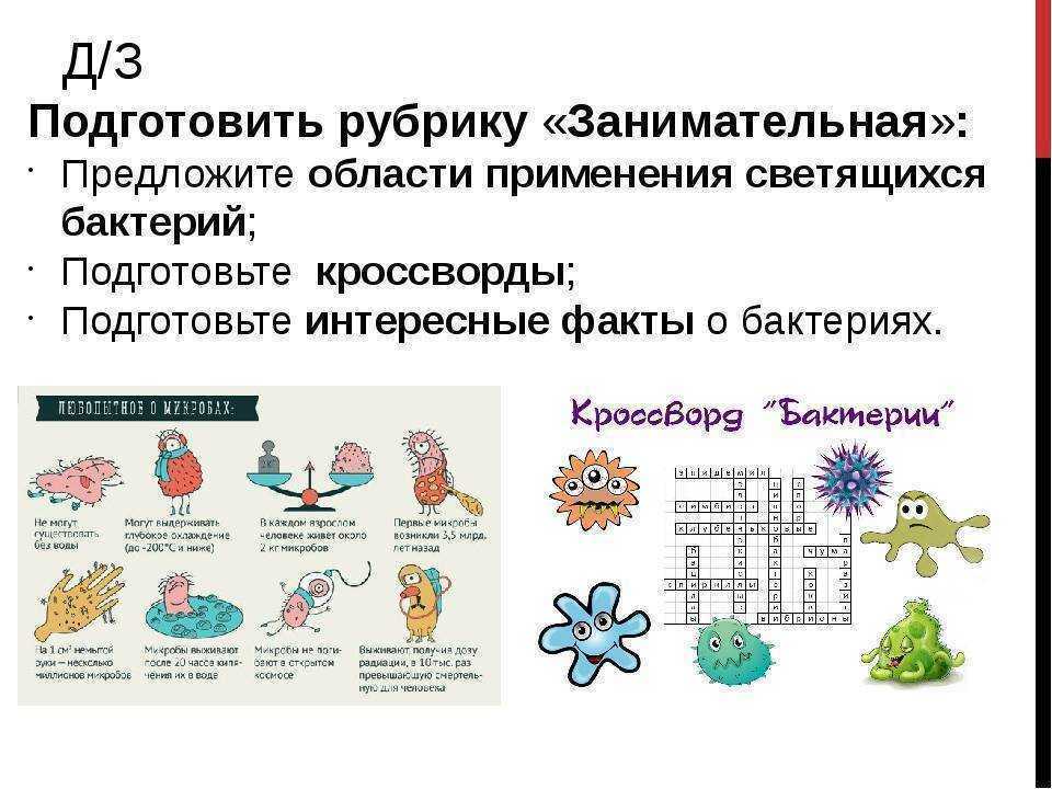 Интересные факты о бактериях презентация