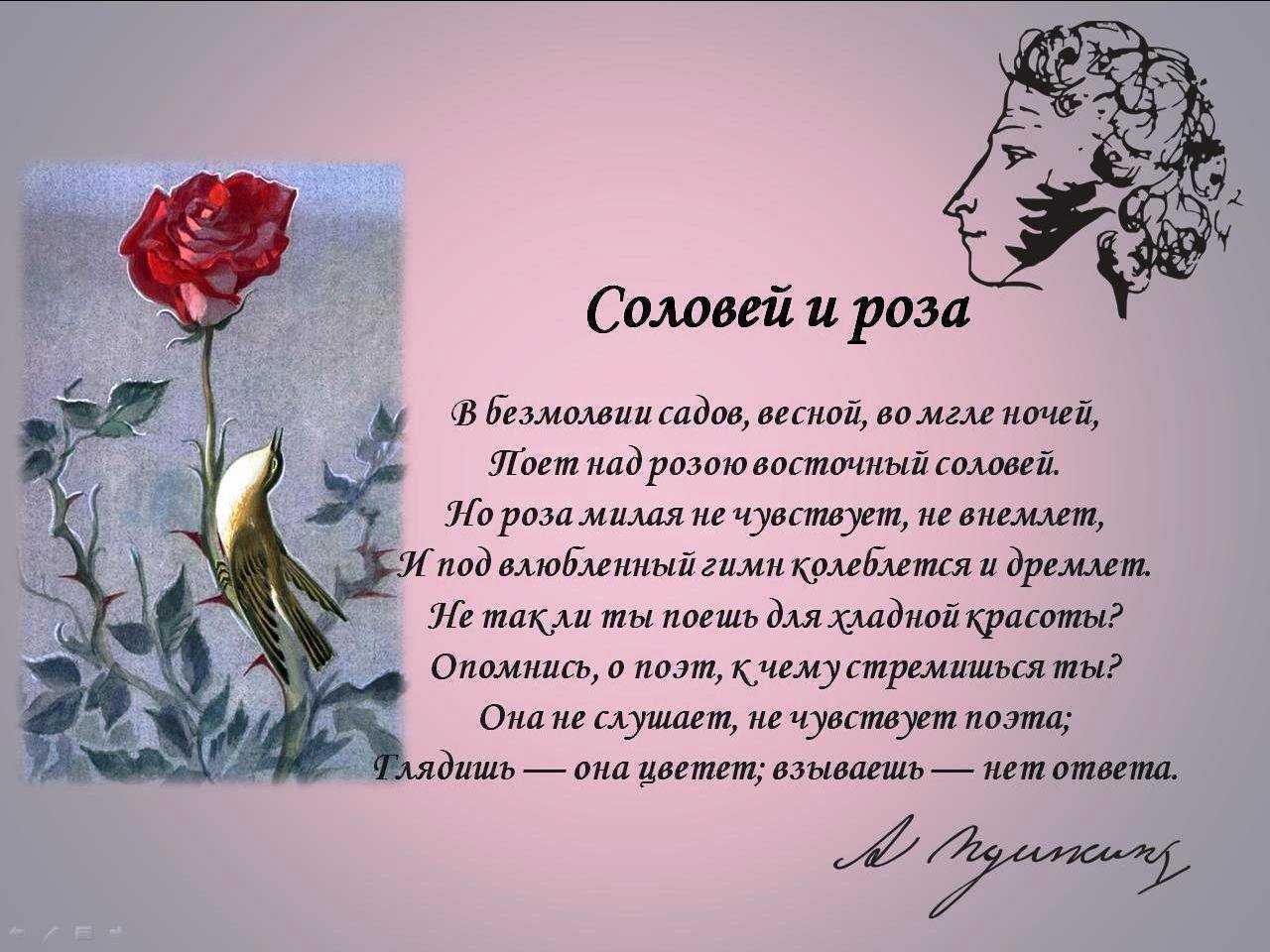 Краткий пересказ сказки соловей. Стихотворение про розу. Красивые стихи о цветах розах.