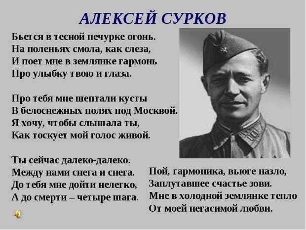 Краткая биография сурков