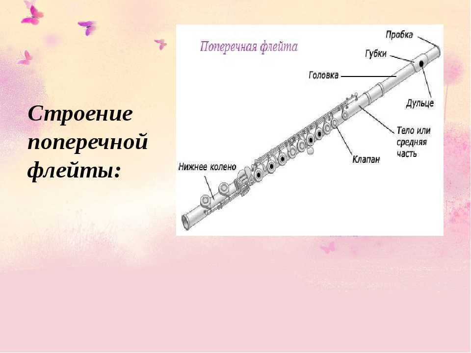 Части музыкального инструмента. Строение продольной флейты. Строение флейты схема. Блок флейта строение инструмента. Строение поперечной флейты.