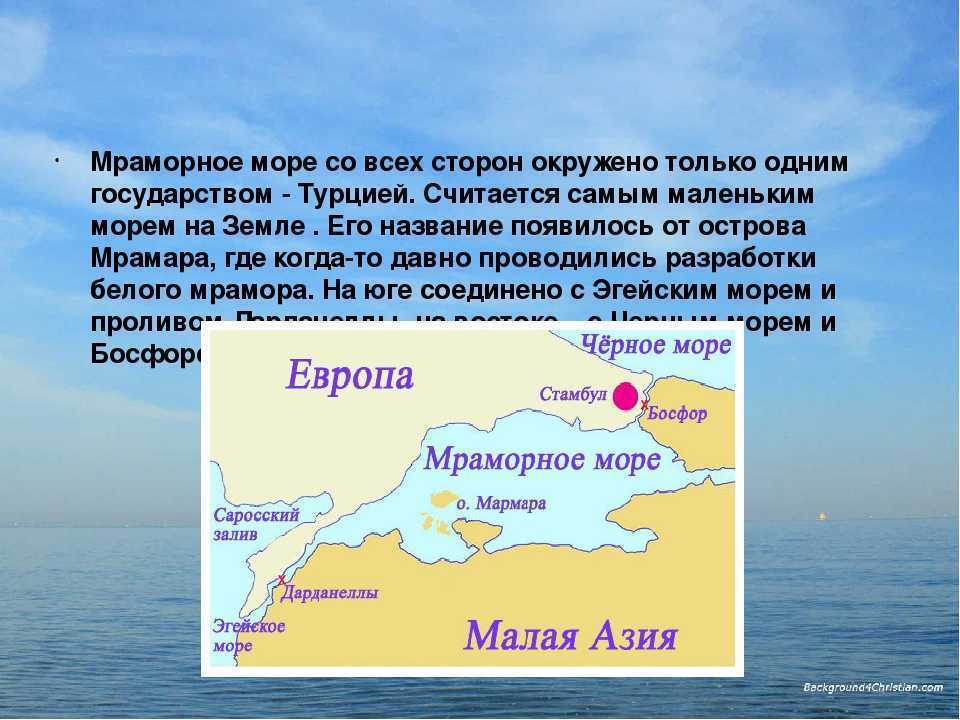 Сообщение по окружающему миру на тему: «у черного моря.»