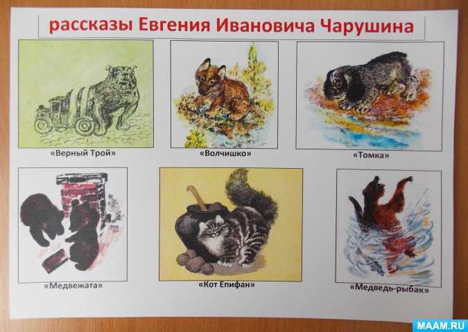 Урок литературного чтения в 4 классе е.и. чарушин. «кабан».