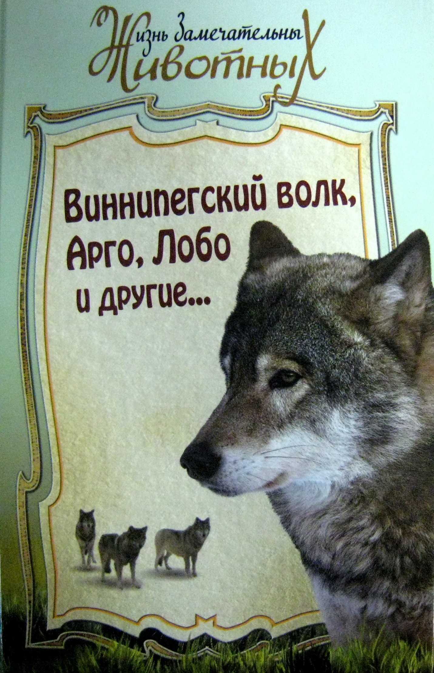 Виннипегский волк — краткое содержание рассказа сетона-томпсона