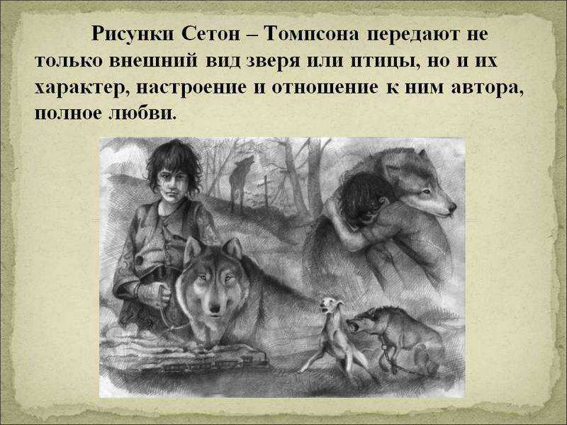 «виннипегский волк» краткое содержание рассказа сетон-томпсона – читать пересказ онлайн
