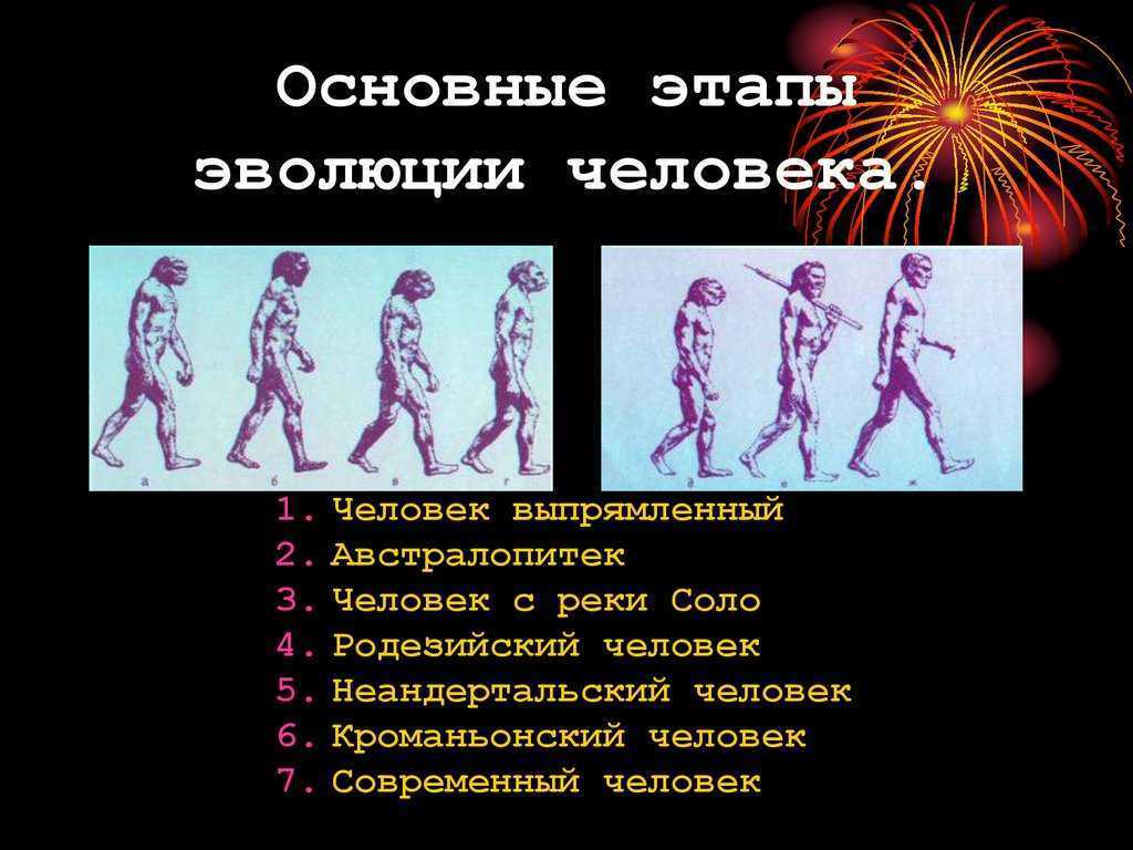 Конспект по биологии "происхождение человека" - учительpro