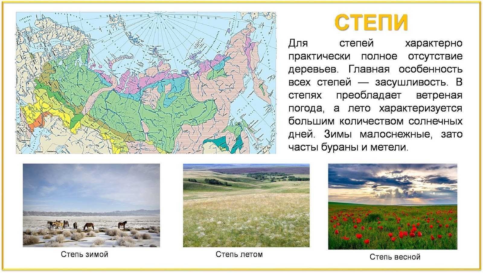 Степная территория. Степи на карте России природных зон. Зона степей климатический пояс. Климат зоны степей в России. Природные зоны России степь климат.