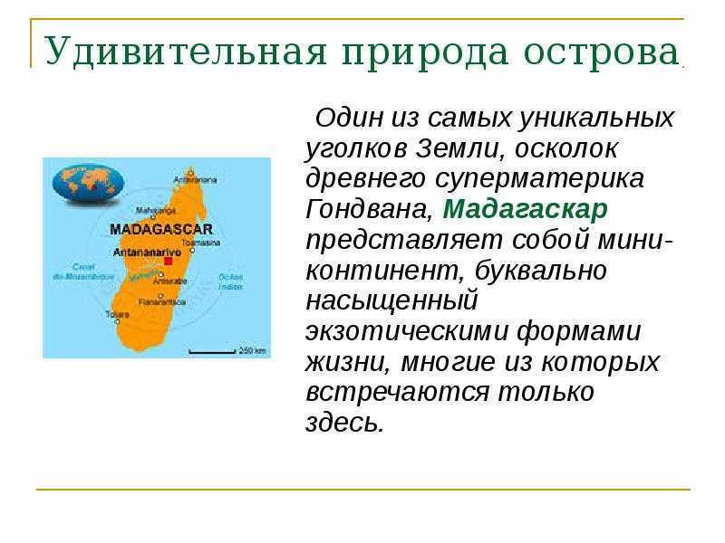 Остров мадагаскар проект