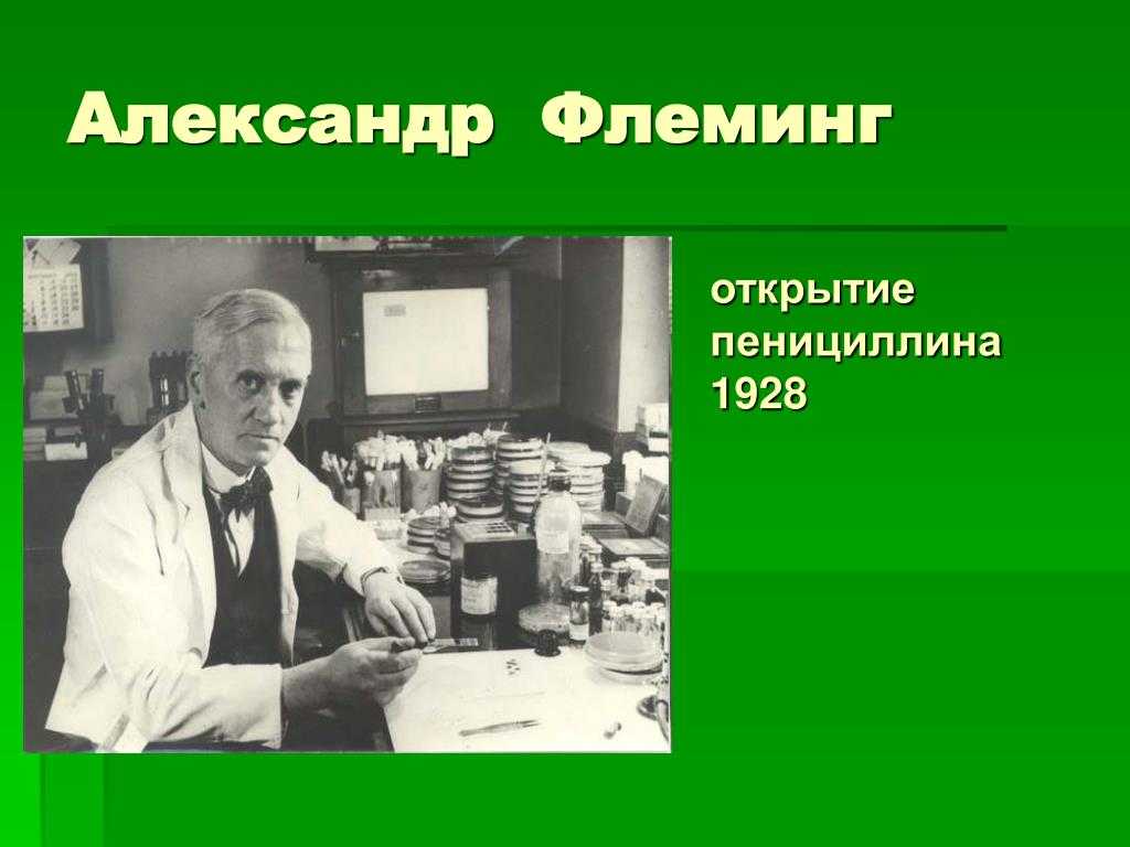 Александр флеминг презентация