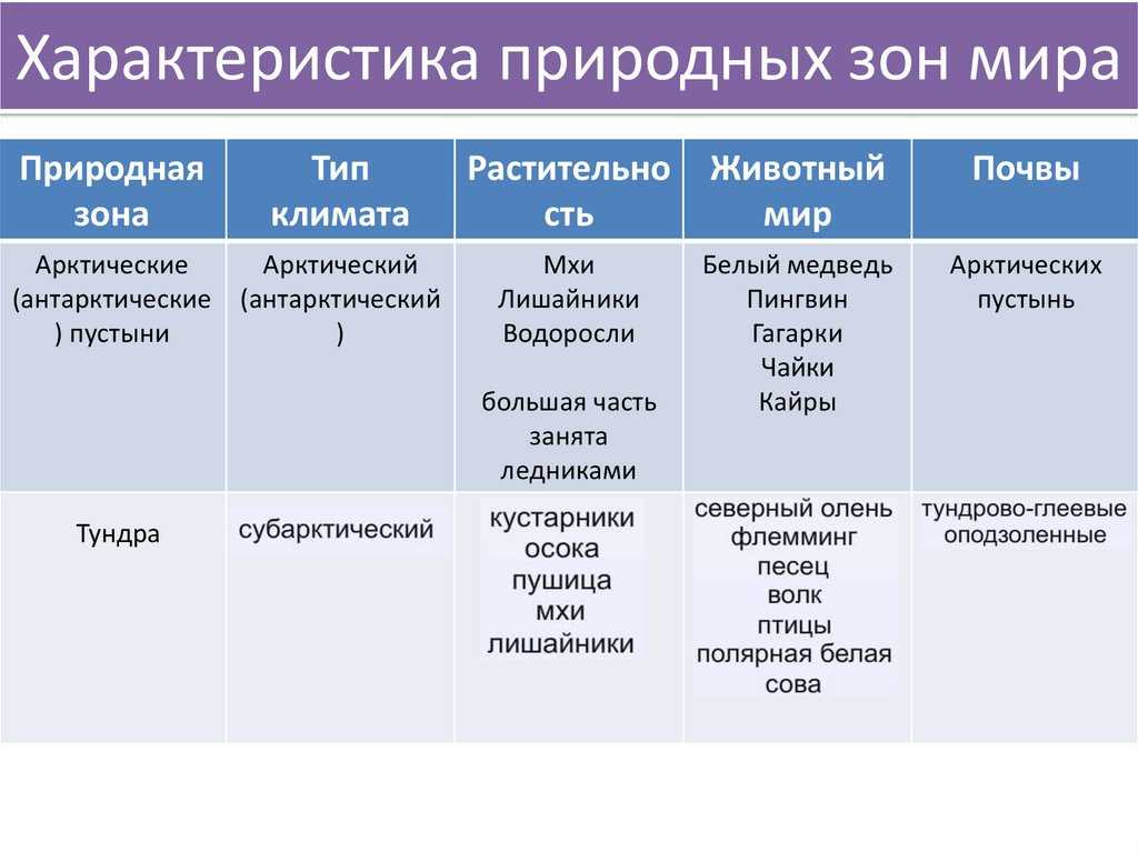 География ливии: рельеф, климат, население, растительный и животный мир
