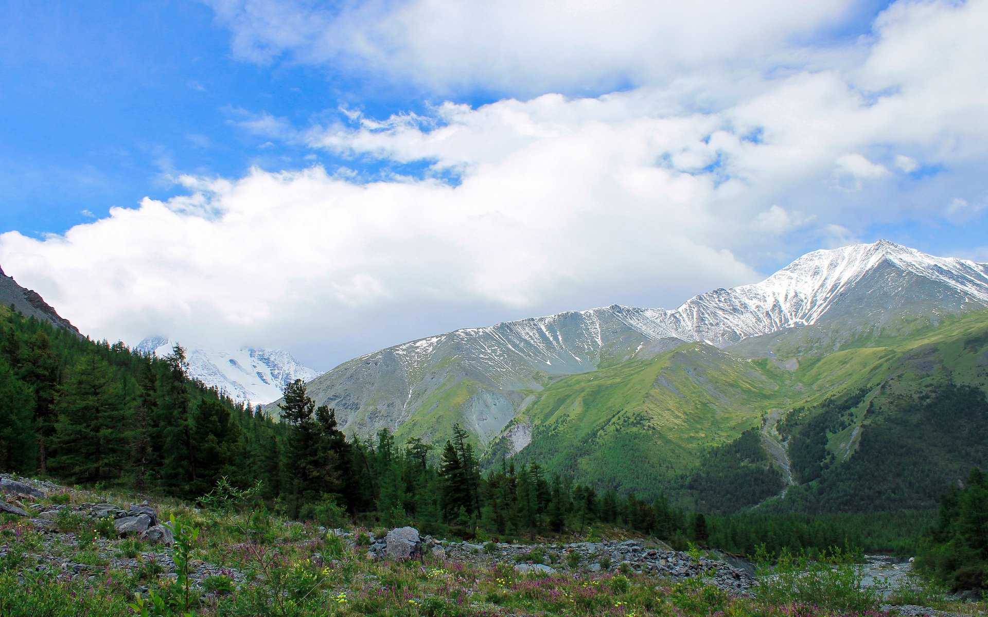 Гора Белуха Республика Алтай фото