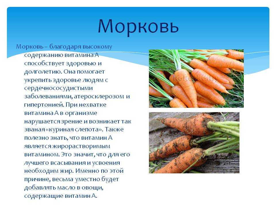 Морковь