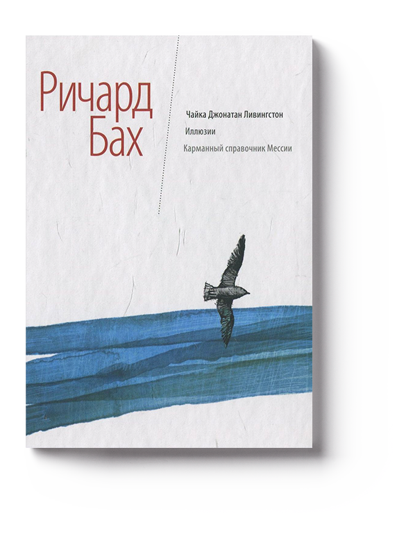 Книга баха чайка по имени джонатан ливингстон. Чайка Джонатан Ливингстон. Чайка Джонатан Ливингстон книга.