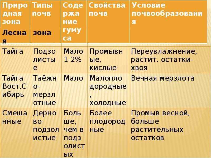 В какой зоне формируются подзолистые почвы и для каких природных зон характерны Подзолистые почвы находятся в зонах с влажным и холодным климатом