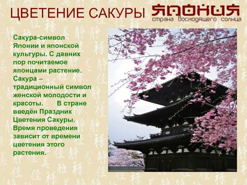 Проект по теме «страны мира. япония» для 2 класса