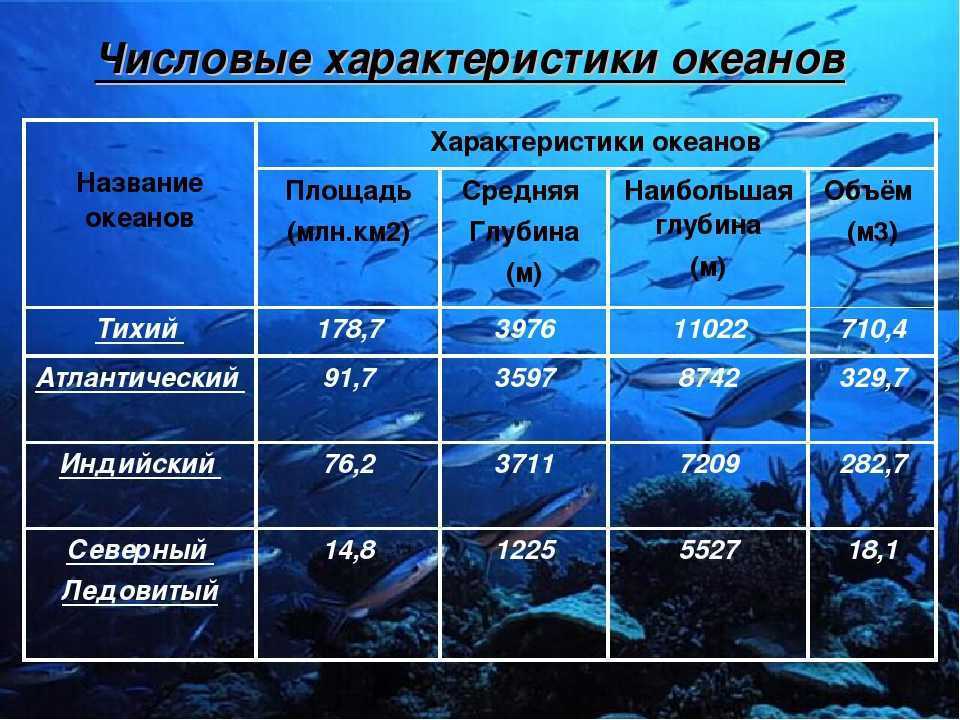 Атлантический океан: характеристики, течения, расположение и т. д.