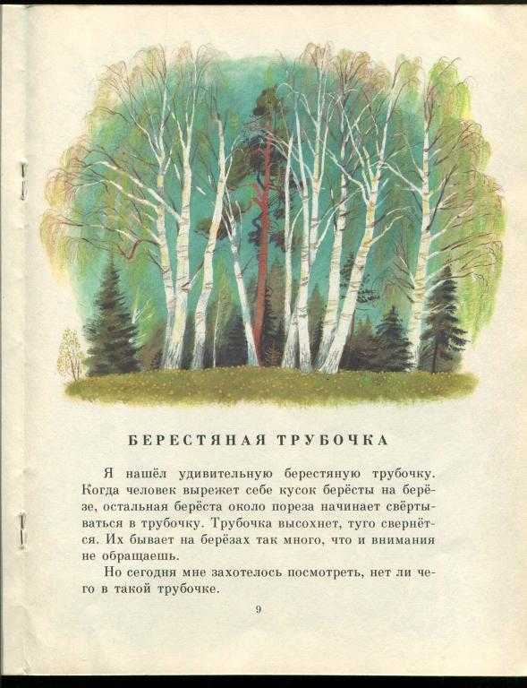 Пришвин берестяная трубочка читать полностью с картинками бесплатно