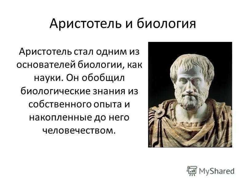 Аристотель: краткая биография, философия и основные идеи