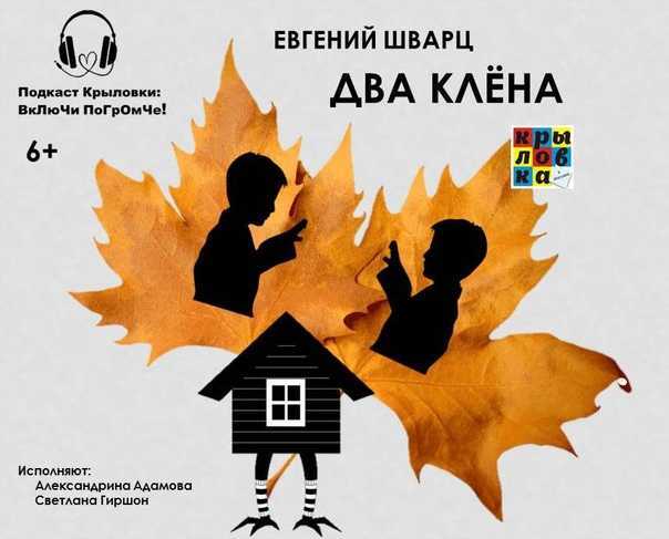 Шварц е. «два брата» читательский дневник, краткое содержание