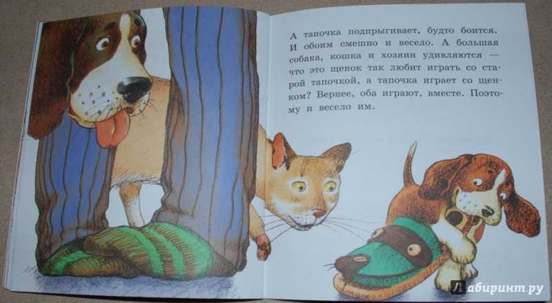 Стихи об арбузе