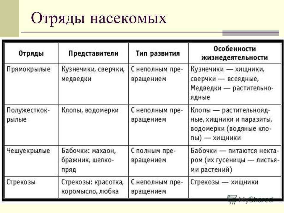 Отряды насекомых таблица 7 класс