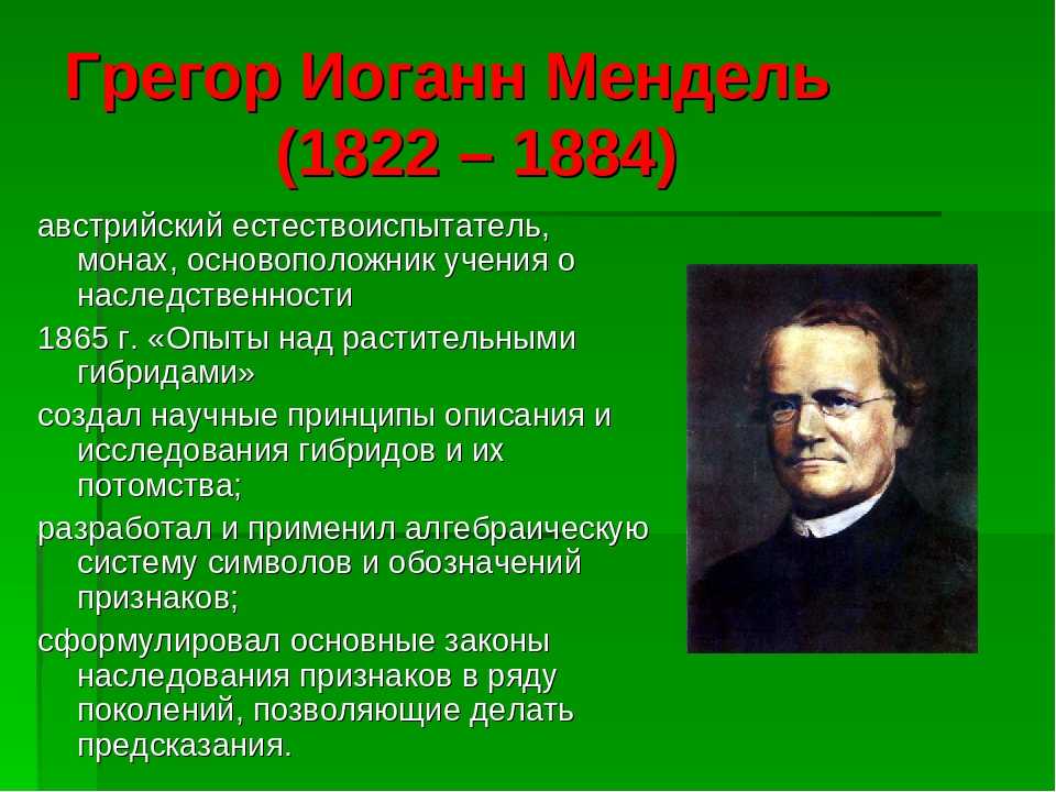 Отец генетики грегор иоганн мендель проект 11 класс