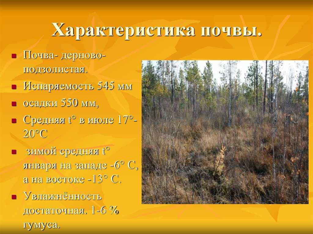 Природные зоны россии
