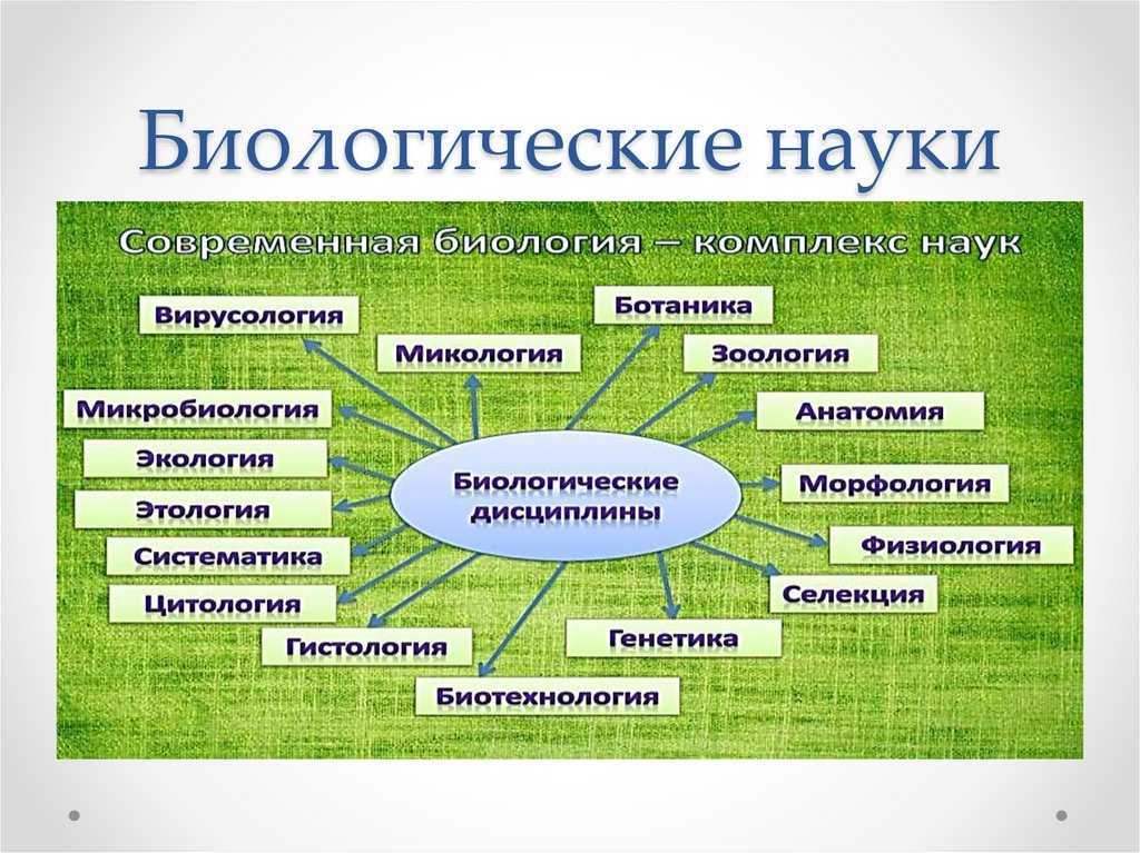 Роль биологии в формировании современной естественнонаучной картины мира в практической деятельности