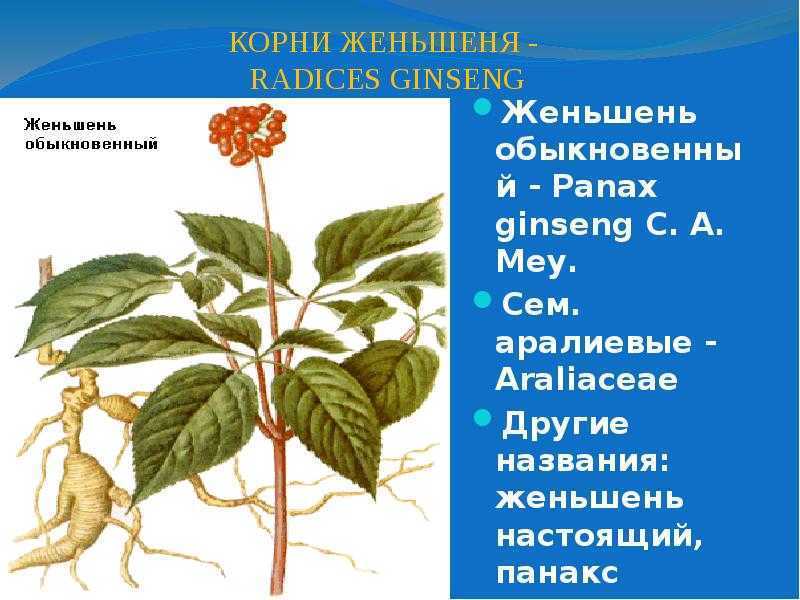 Лечение диффузной фиброзно-кистозной мастопатии | #03/06 | «лечащий врач» – профессиональное медицинское издание для врачей. научные статьи.