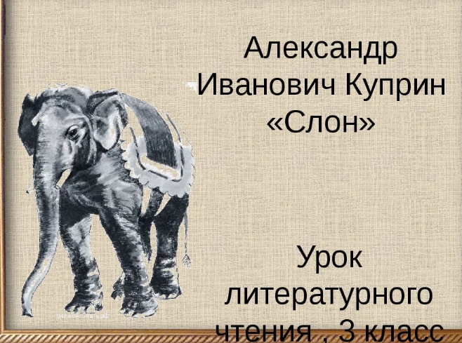 Ход слона миша учится. Куприн слон 3 класс. Куприн Александр Иванович слон. Слон Куприна 3 класс. Александр Иванович Куприн слон план.