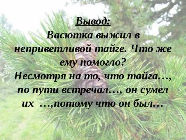 Как васютка выжил в тайге план сочинение