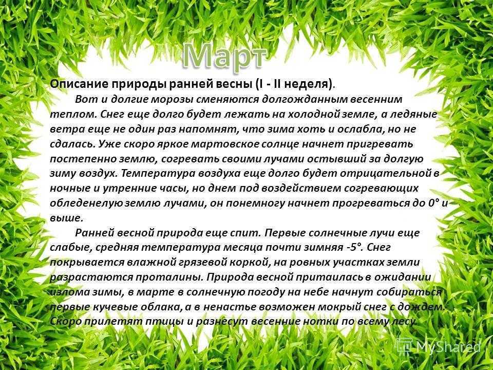 Сочинения на тему «весна» ✔️