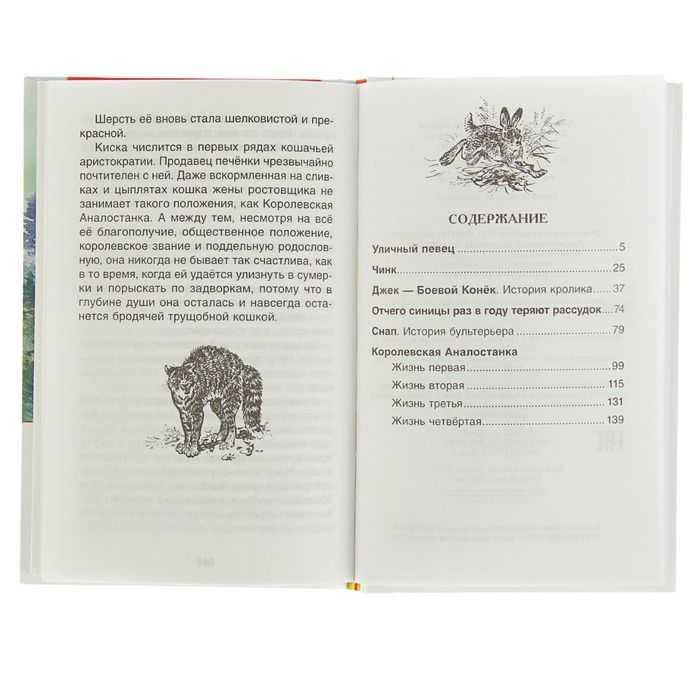 Книга о животных коротко. Сетон-Томпсон рассказы о животных содержание книги. Томпсон рассказы о животных оглавление.