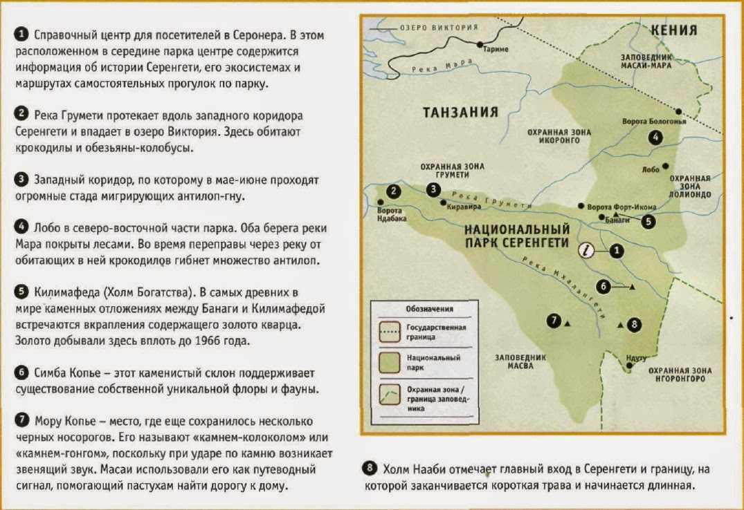 Национальный парк серенгети презентация