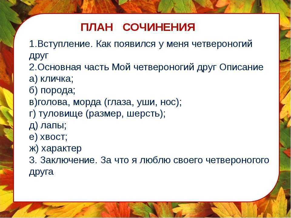 Сочинение на тему мой любимый цветок (роза, ландыш, ромашка, тюльпан) 5 класс