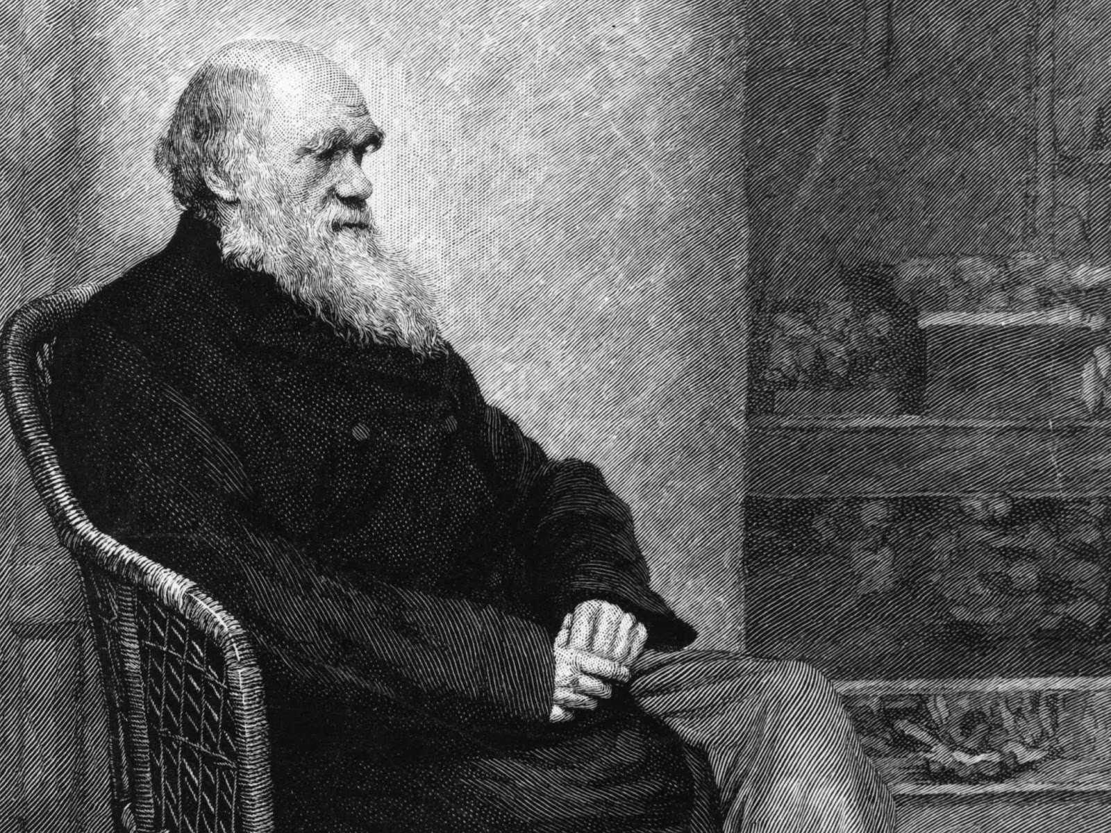 Произошедшие от обезьян: биография ученого и биолога чарльза дарвина
