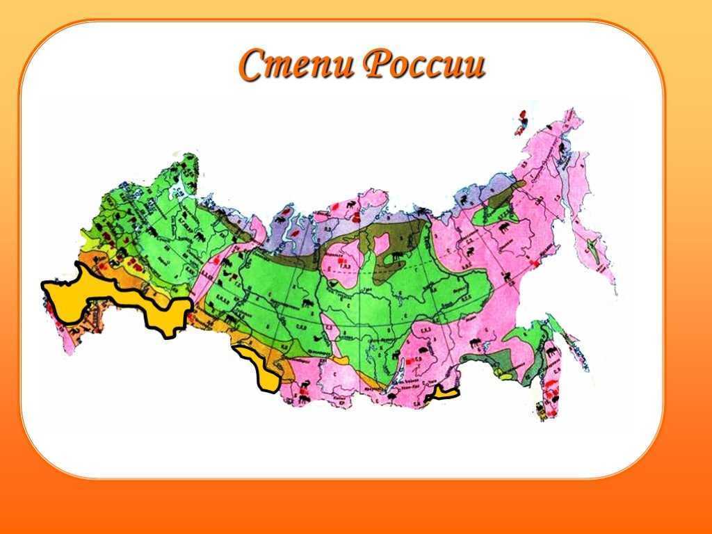 Площадь занятая степей в россии