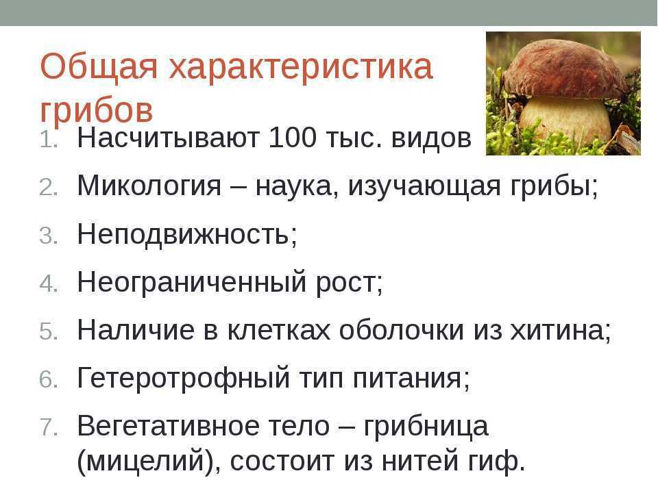 ✅ рассказ о съедобных грибах для 3 класса - усадьбанатали.рф