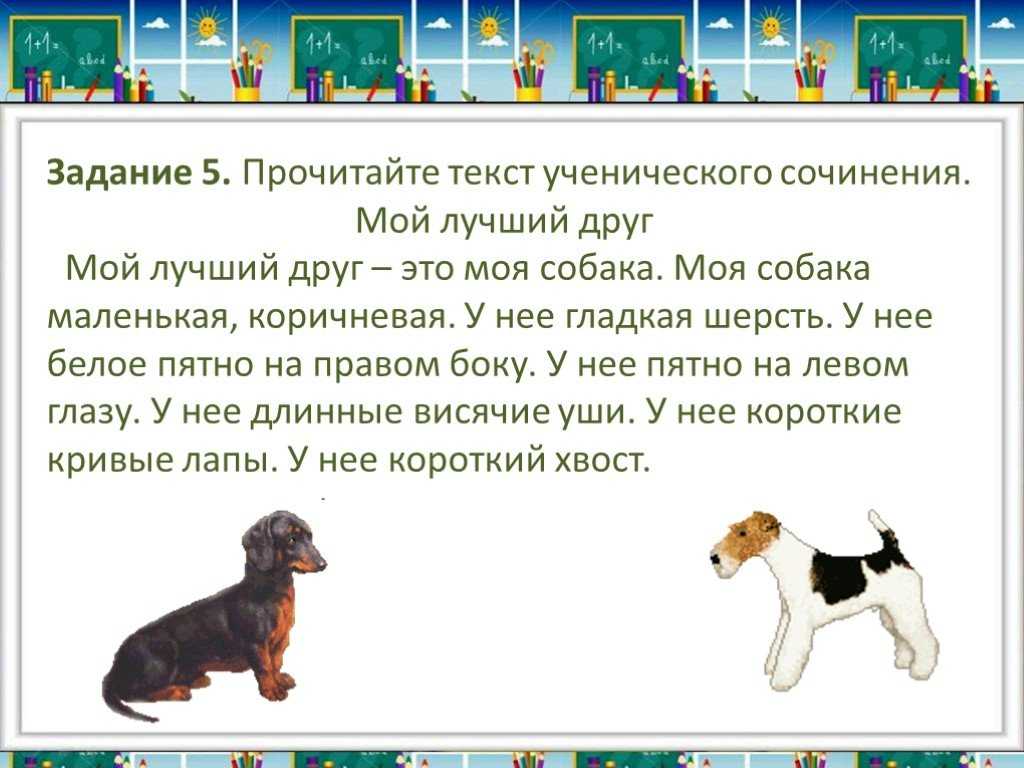Я хочу рассказать о своей собаке. Текст описание щенка 2 класс. Сочинение про собаку. Текст описание про собаку. Не большое сочинение про собаку.